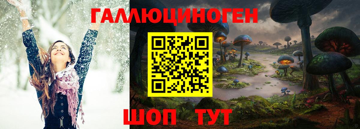 где купить   Вход с VPN  Алейск  Галлюциногенные грибы мухоморы 
